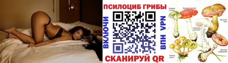 Галлюциногенные грибы Magic Shrooms  блэк спрут сайт  Боготол 